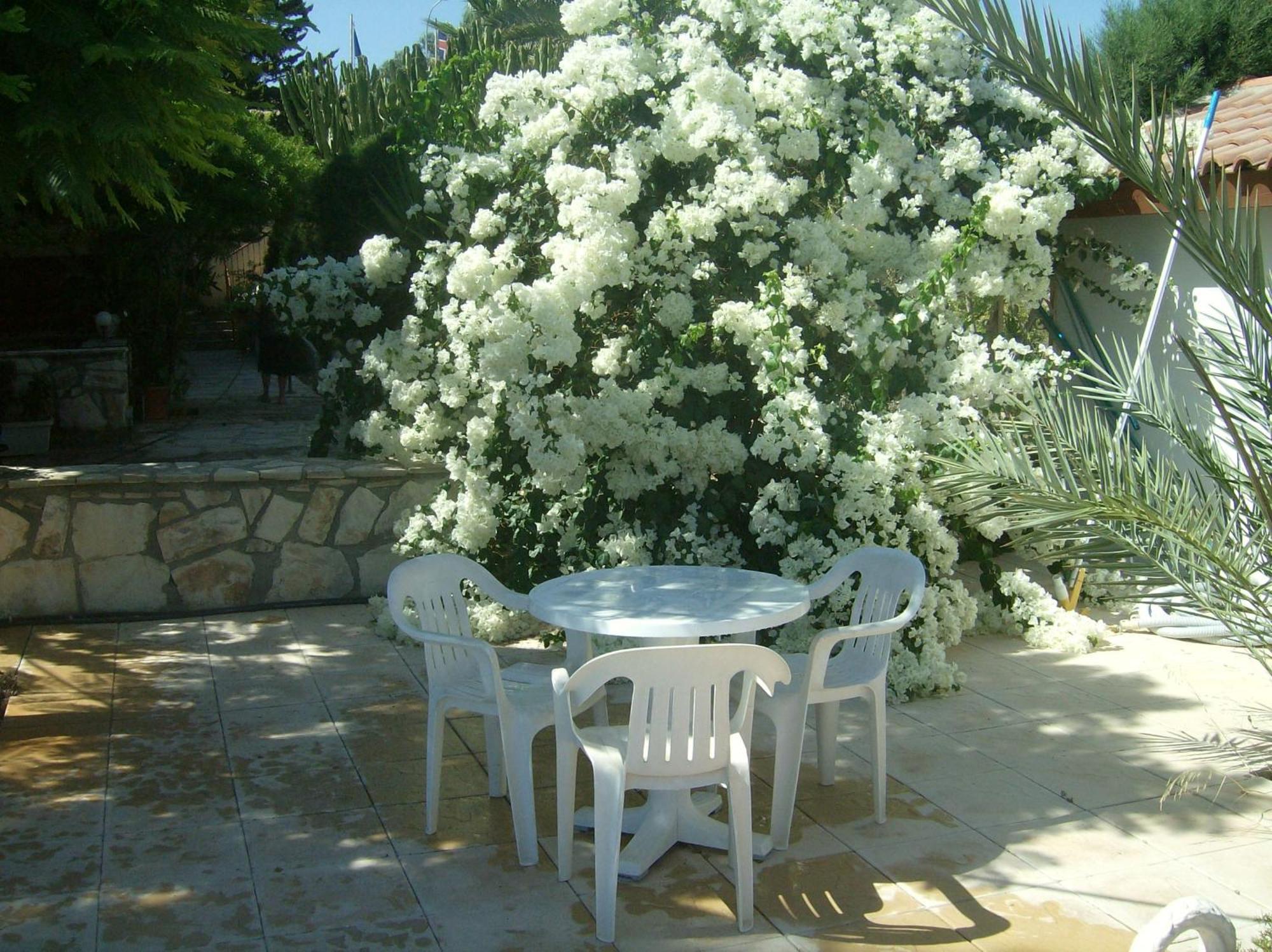 Rantzo Holiday Apartments Pissouri Exterior photo